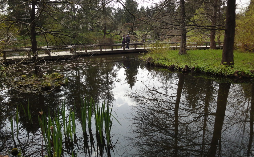 溫哥華旅遊｜春遊凡杜森植物園