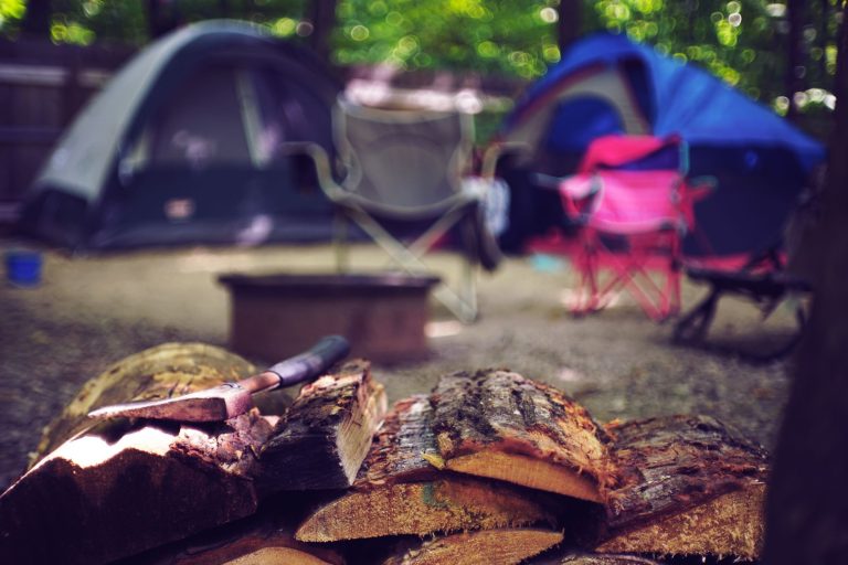 pile of firewood
