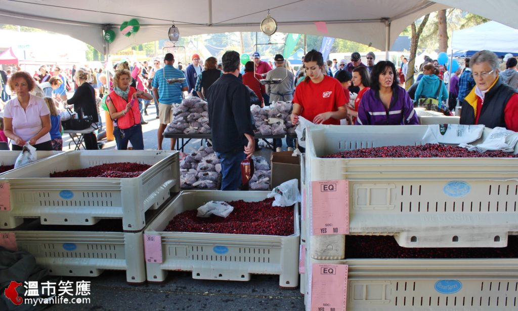 eventimg_7637cranberryfest