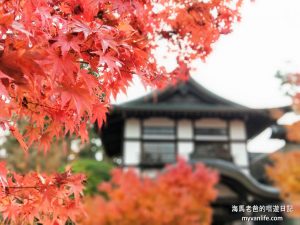 京都旅遊｜太慢了喔，永觀，佛陀如是說