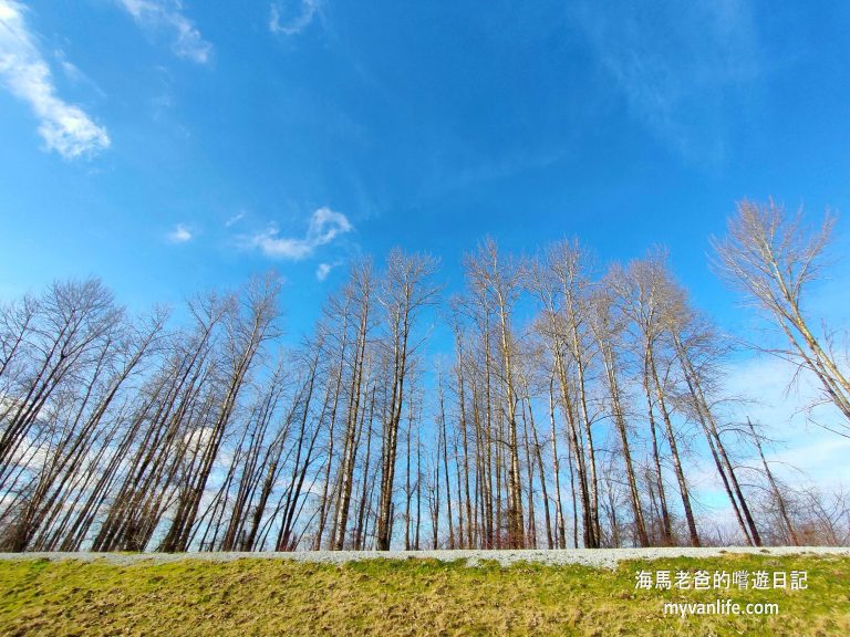 溫哥華旅由推薦大溫哥華地區匹特草原菲沙河健走步道