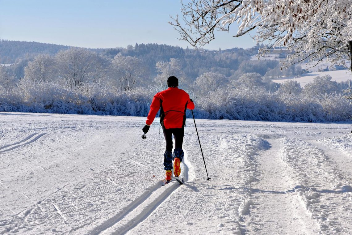 cross country skiing in a snowy winter landscape