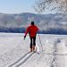 cross country skiing in a snowy winter landscape