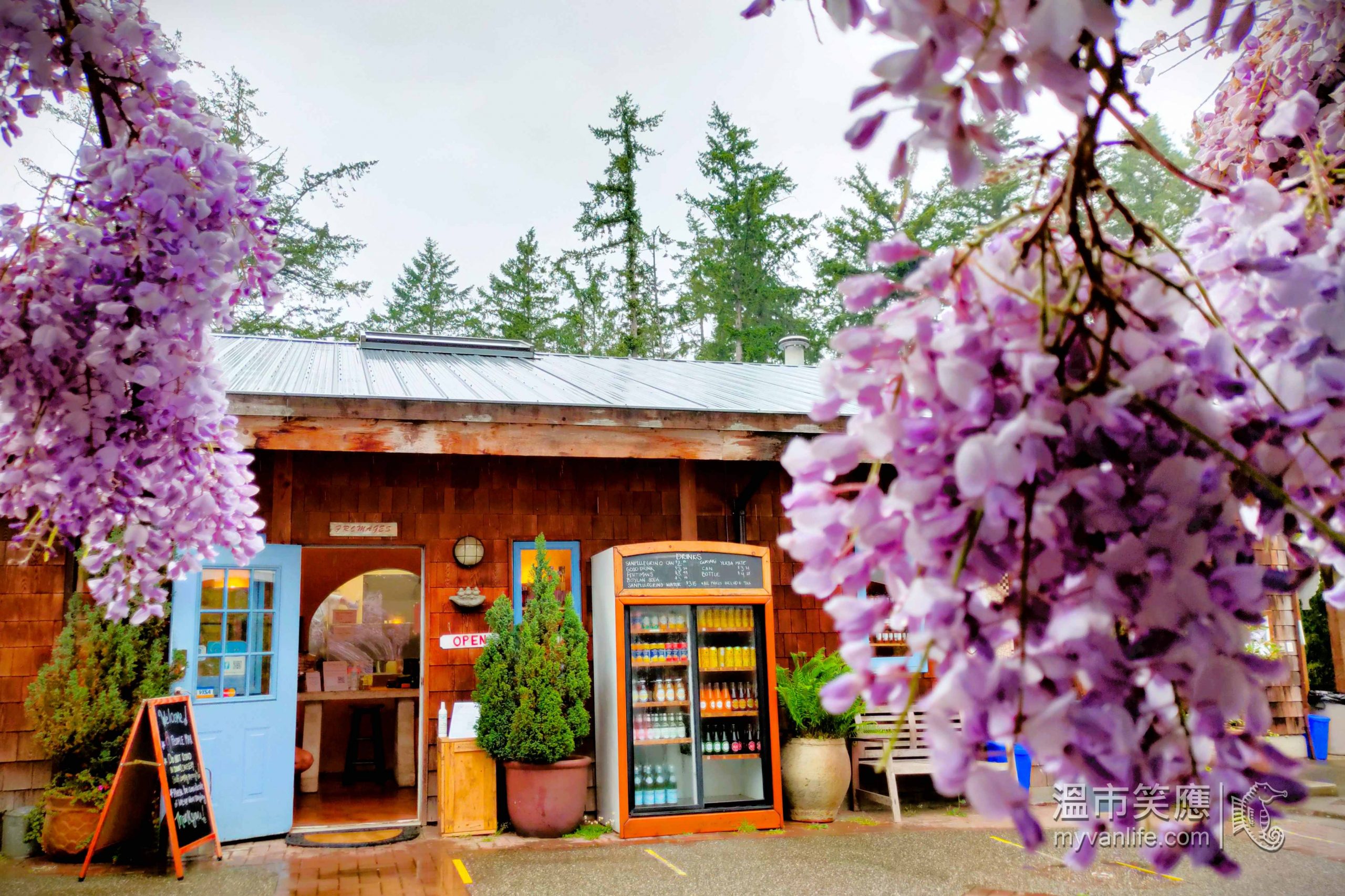 travel_IMG20220603100636_Salt Spring Cheese 溫市笑應