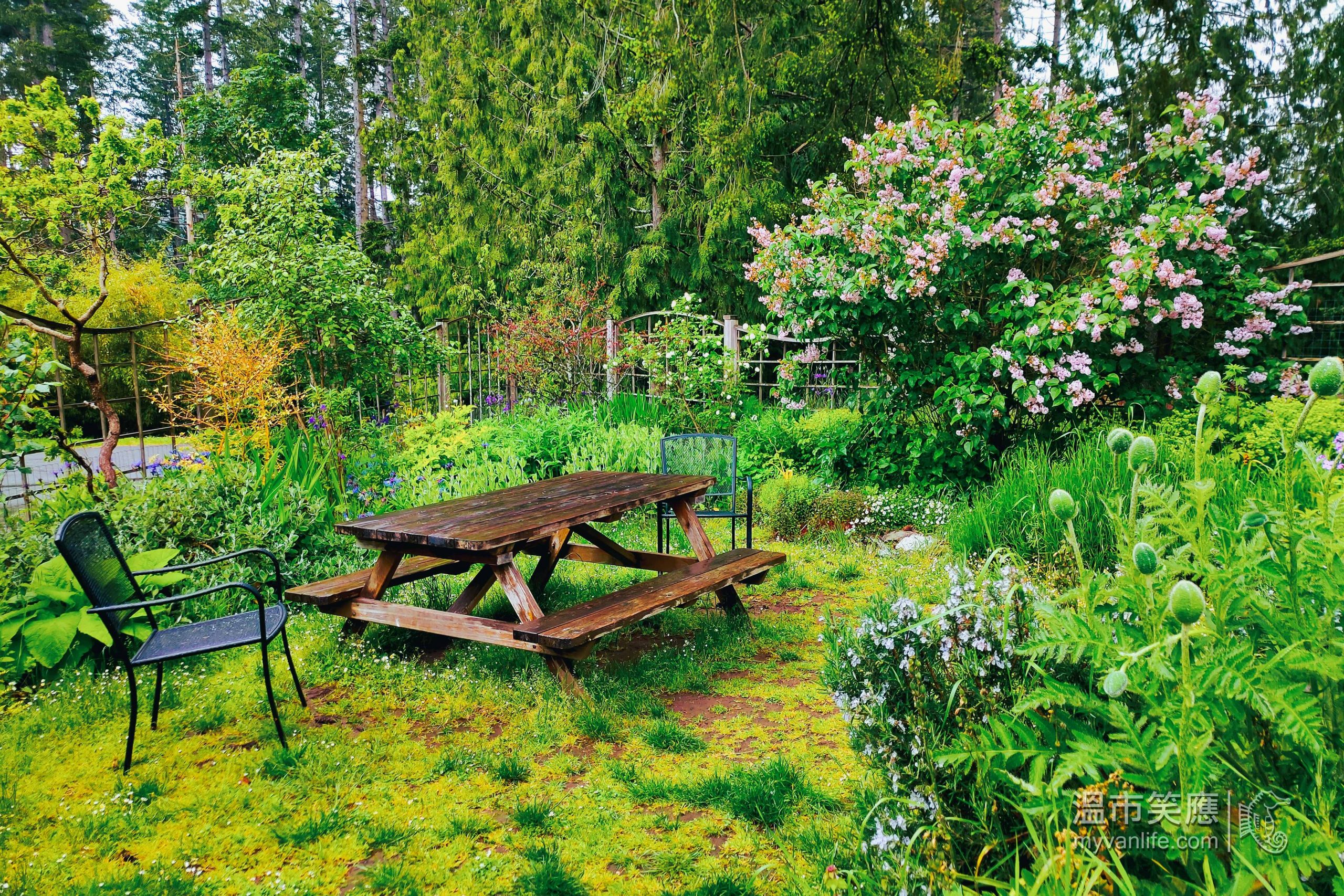 travel_IMG20220603102931_Salt Spring Cheese 溫市笑應