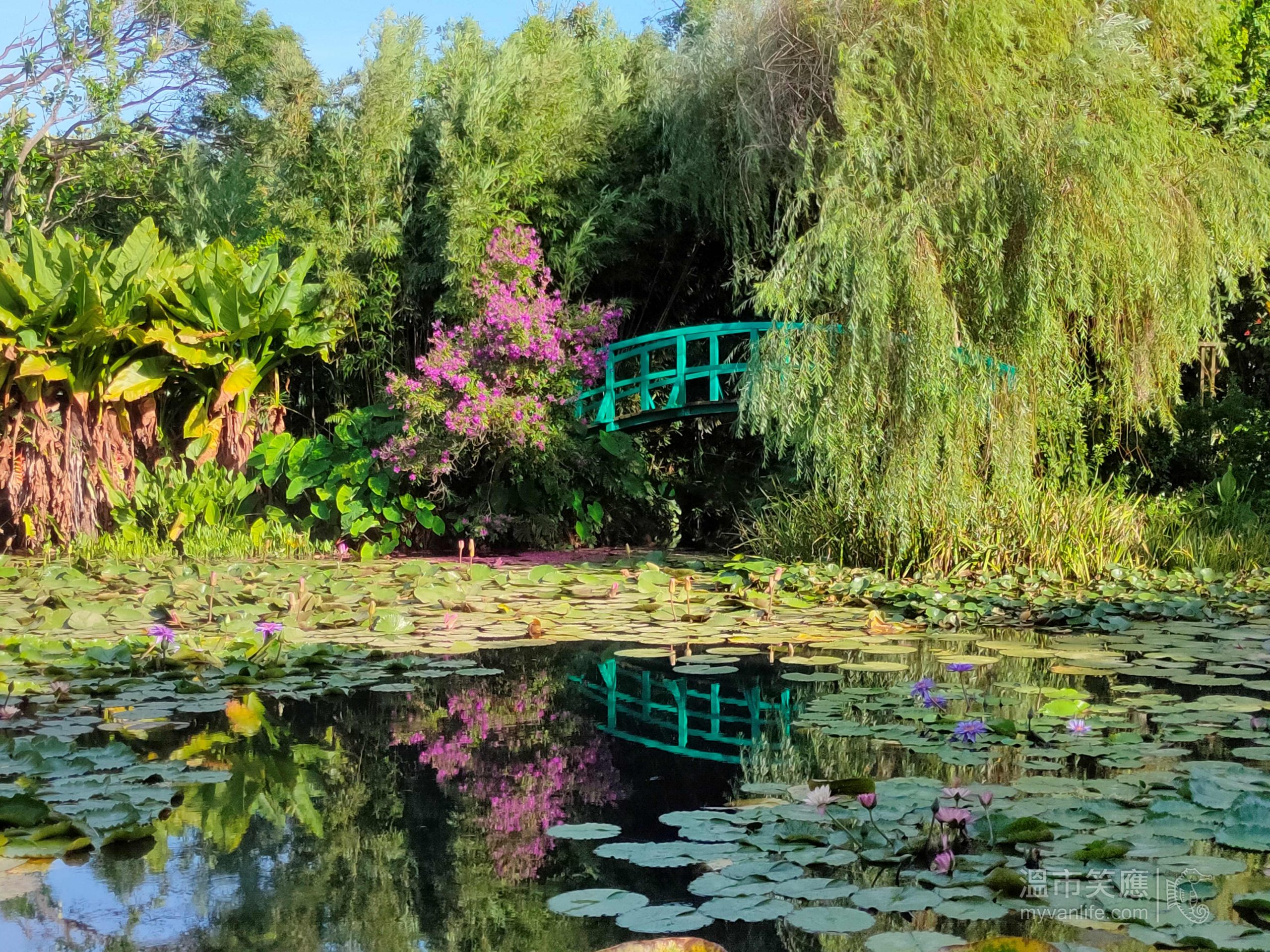 台灣旅遊｜蓮塘灩瀲，印象入畫，桃園勝境莫內的花園