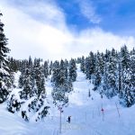 溫哥華旅遊｜燃燒腳力的踩雪步道：Mt Seymour Trail