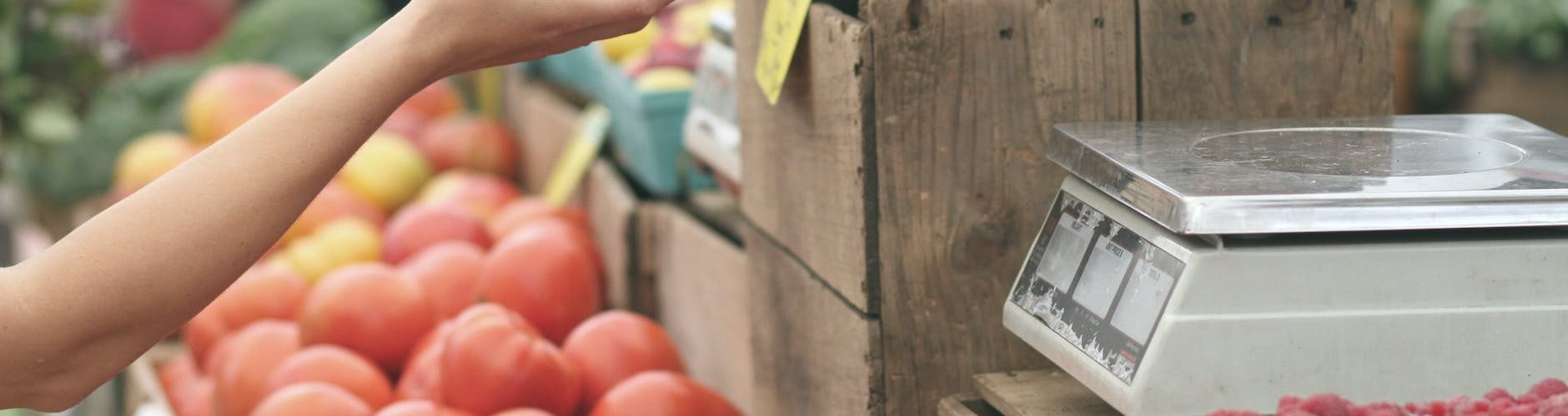 person giving fruit to another