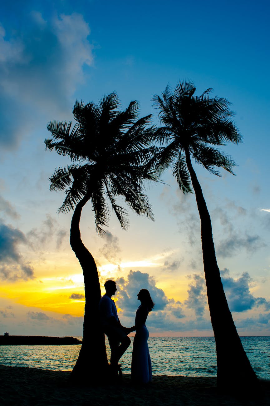 man and woman near coconut trees